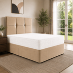 Mink Naples,Mink Plush velvet