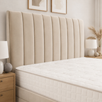 Cream Naples,Cream Plush velvet