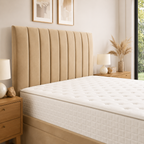 Mink Naples,Mink Plush velvet