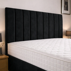 Black Naples,Black Plush velvet
