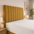 Gold Plush velvet
