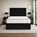 Black Naples,Black Plush velvet