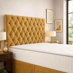 Gold Plush velvet