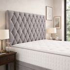 Silver Naples,Silver Plush velvet