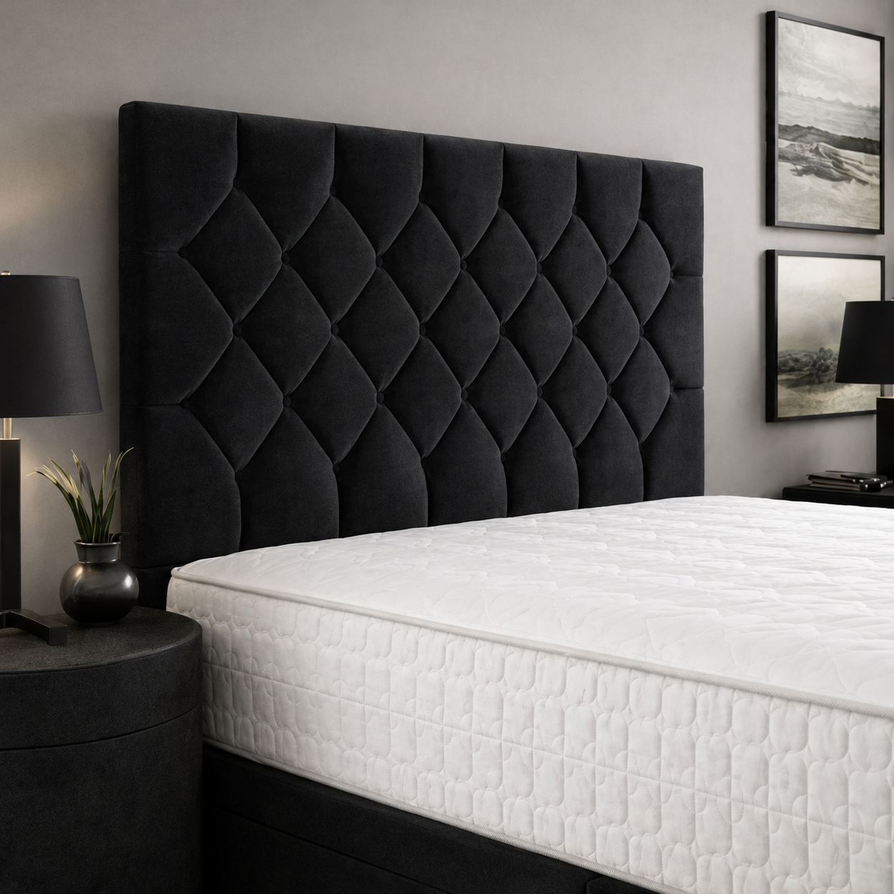 Black Naples,Black Plush velvet