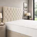 Cream Naples,Cream Plush velvet