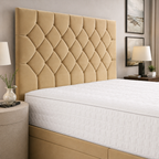 Mink Naples,Mink Plush velvet