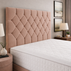Pink Naples,Pink Plush velvet